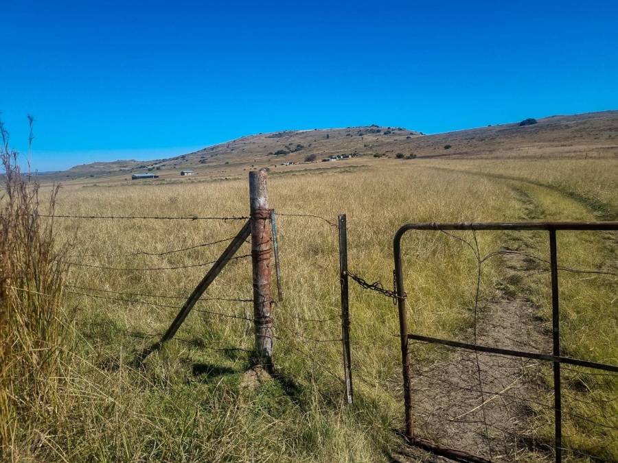 0 Bedroom Property for Sale in Paul Roux Free State